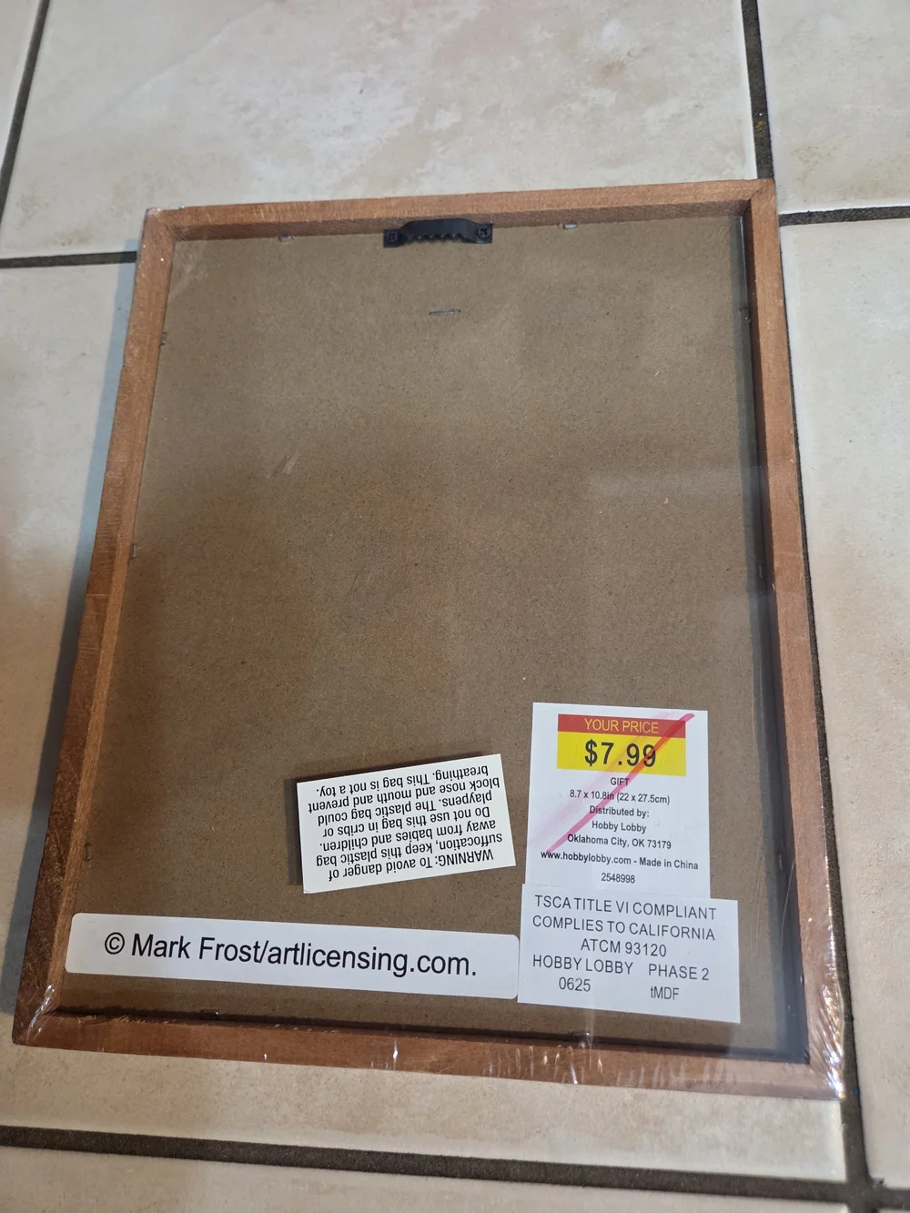 Hobby Lobby Brown Framed Fish Wall Sign with Green Fish